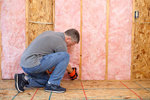 Best Radiant Barrier Insulation  in Abingdon, IL